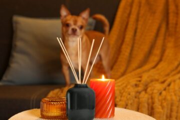 zapach dom drewniany